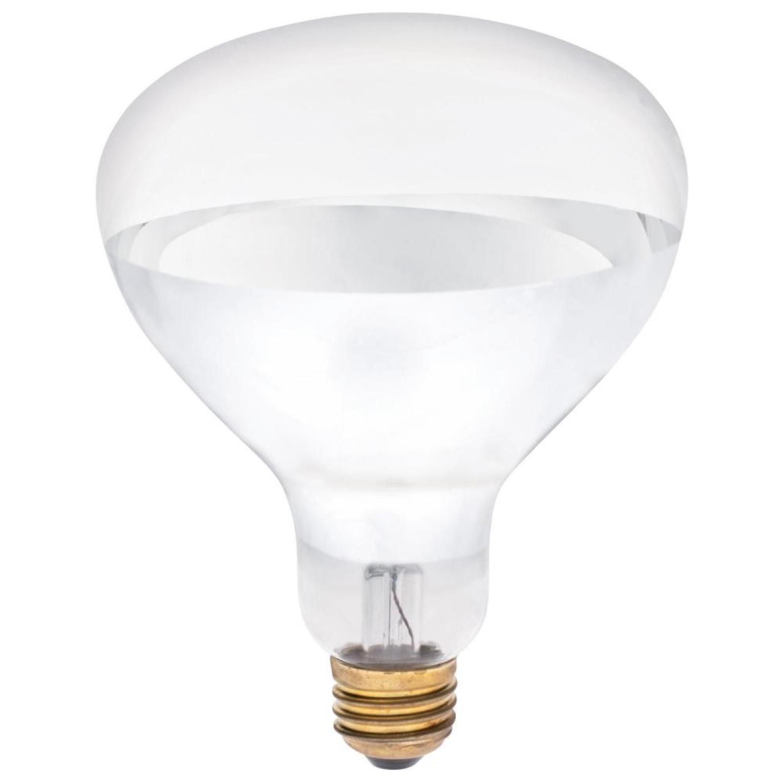 Westinghouse 250 Watt Clear Incandescent Reflector Light Bulb