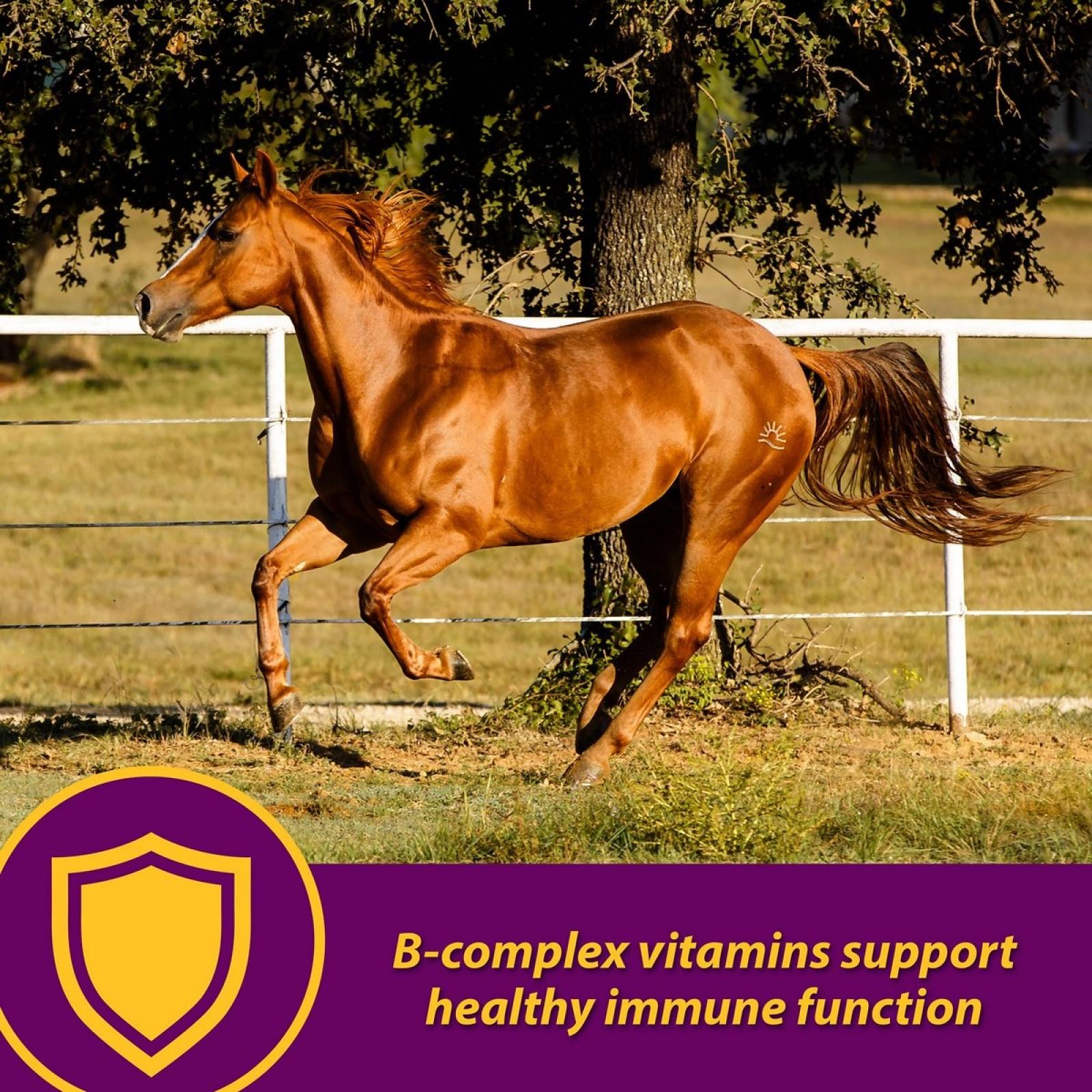Horse Health Products Red Cell Vitamin - Iron - Mineral Supplement