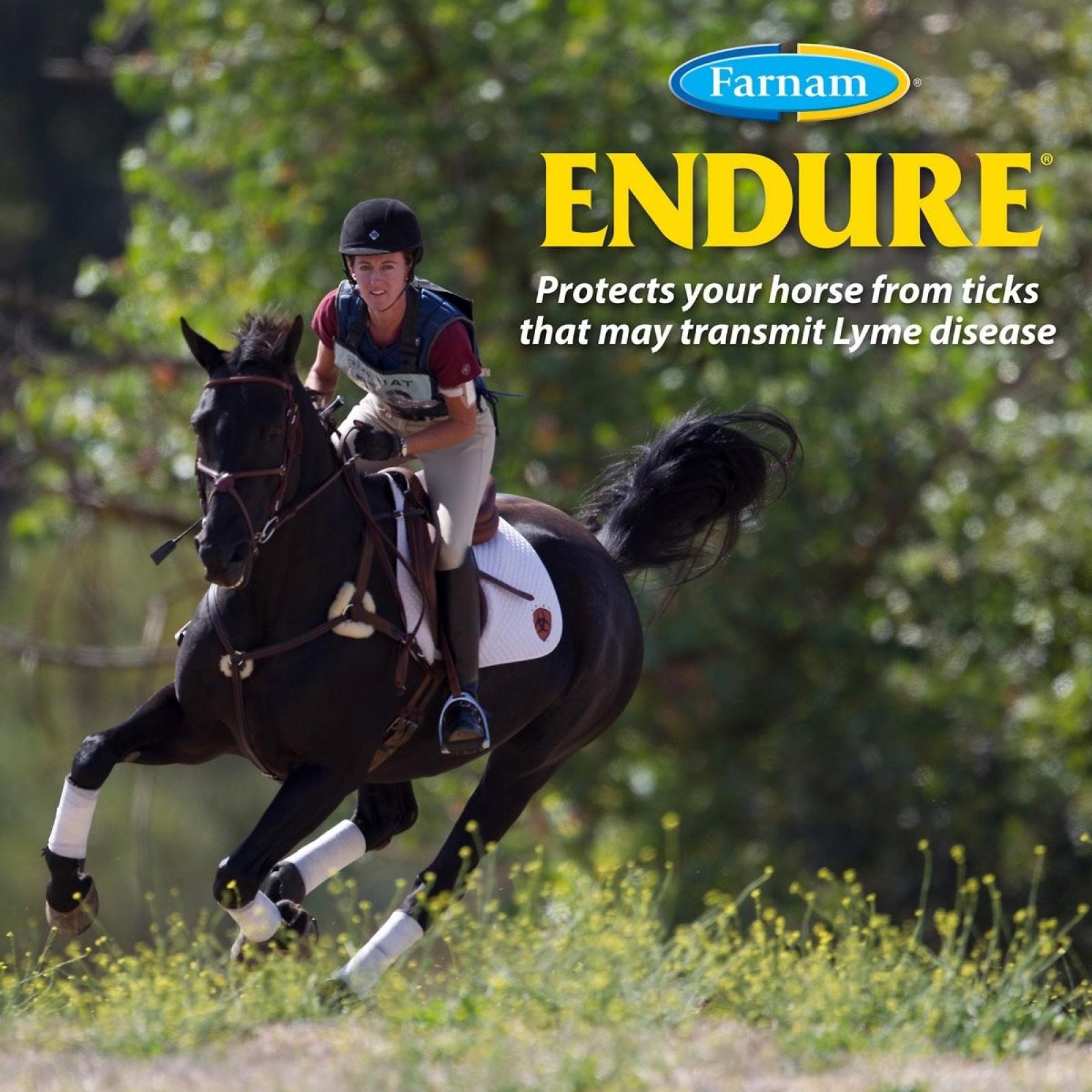 Farnam Endure Roll-On For Horses