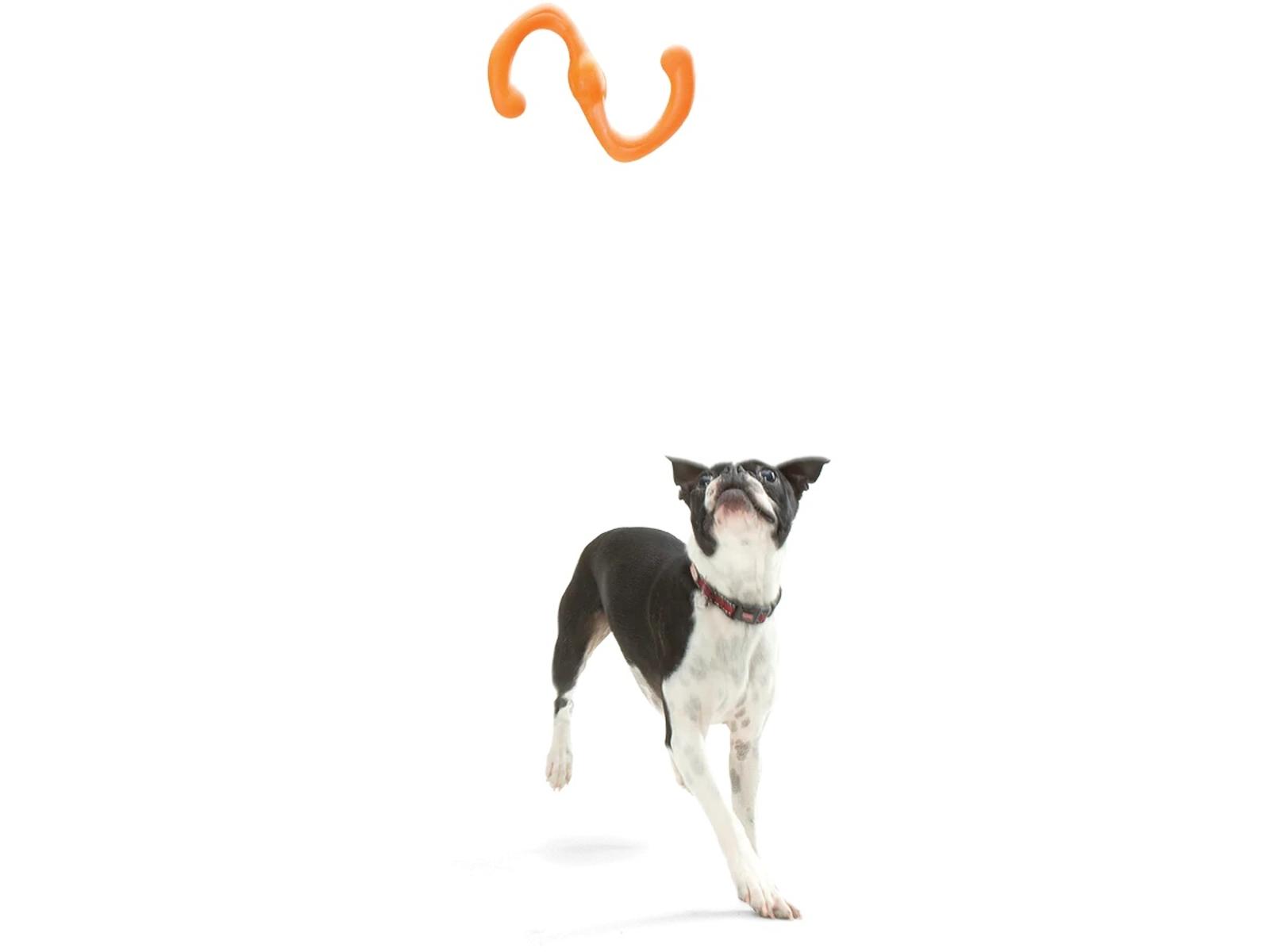 Bumi Dog Chew Toy in tangerine being played with by dog