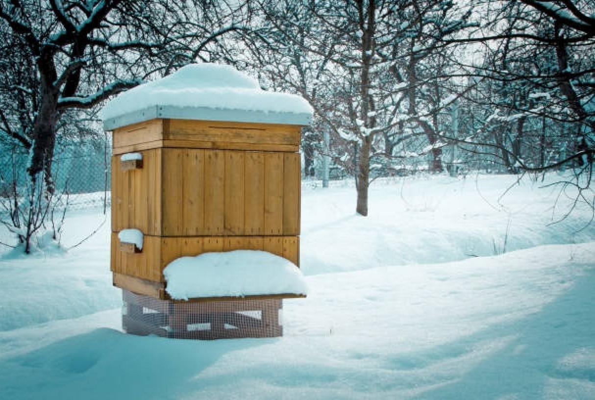 Bee Hive With Heavy Snow Fall Around It