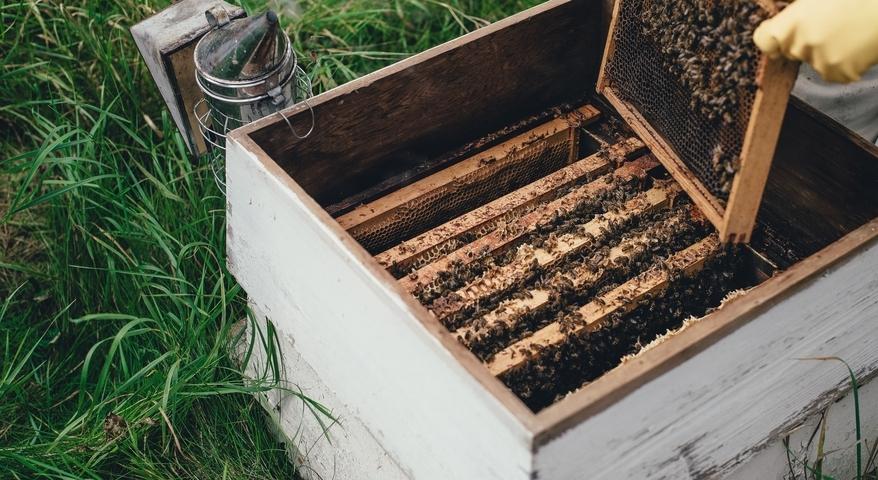 Annie Spratt | Unsplash Images