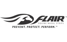 Flair logo