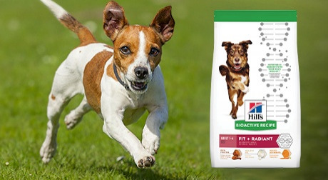 Hill's Science Diet Bioactive