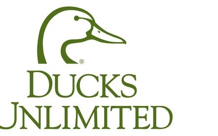 Ducks Unlimited