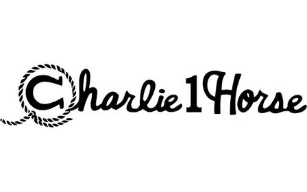 Charlie 1 Horse