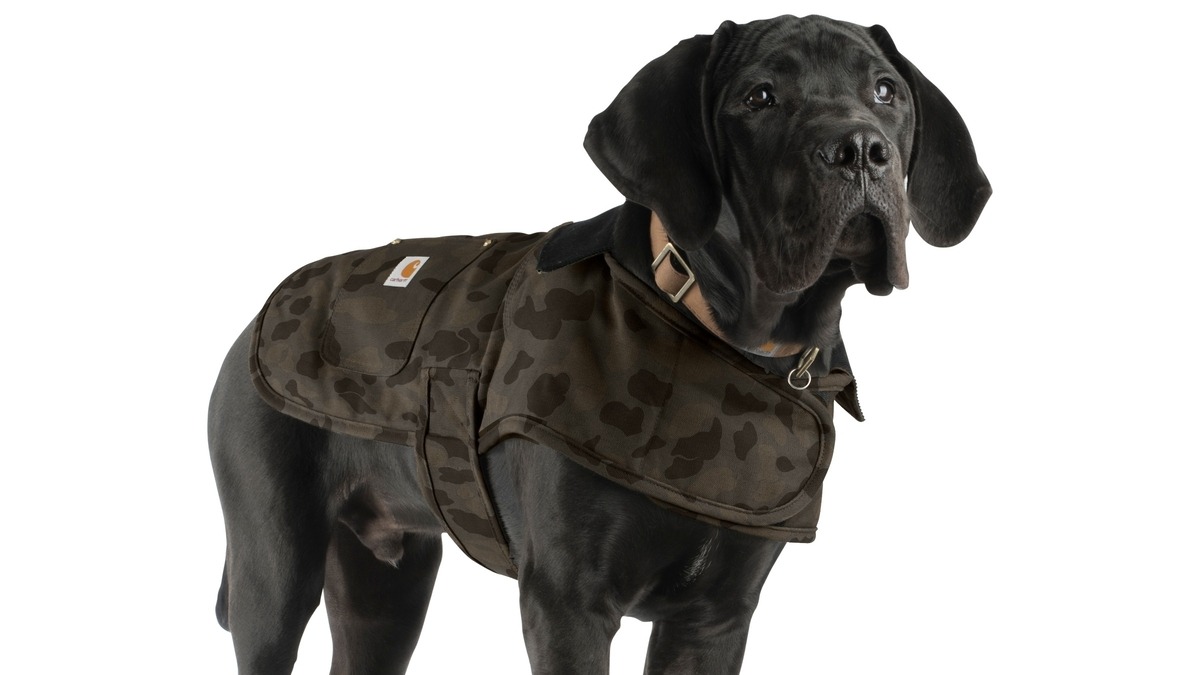 CARHARTT PET GEAR