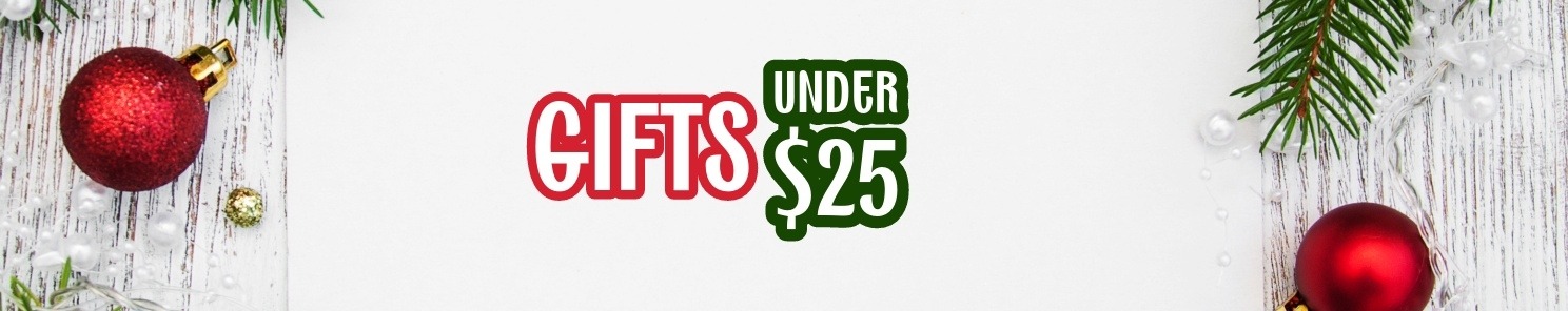 Top Gifts Under $25