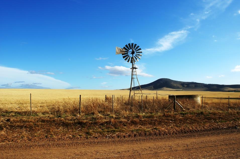 Farm