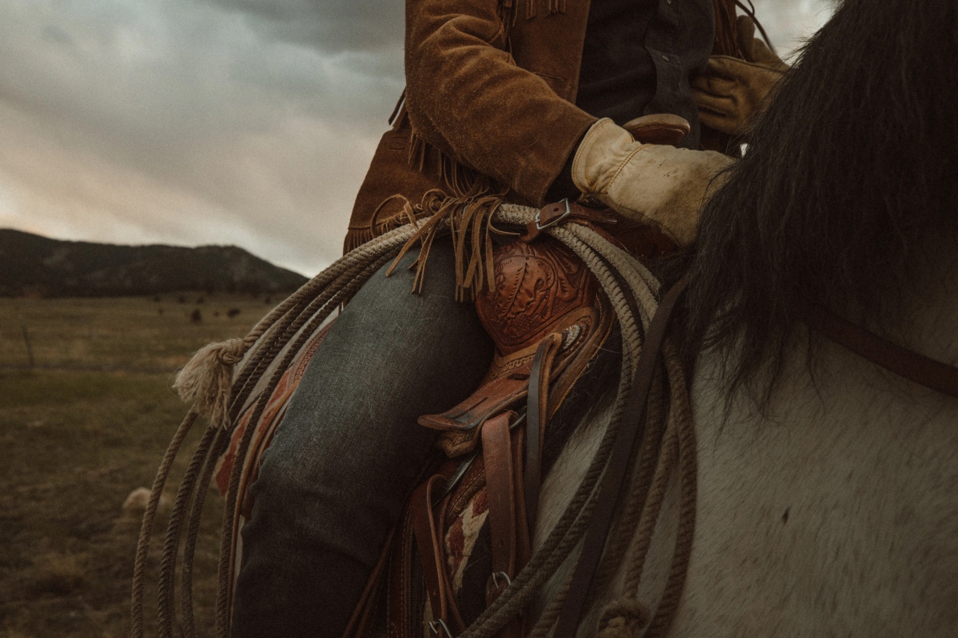 Cowboy On a Horse