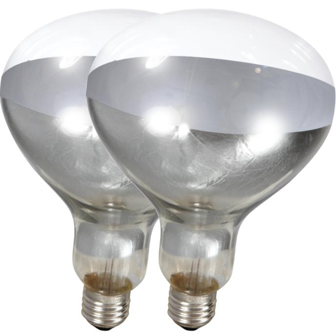 Westinghouse R40 250 Watt Clear Incandescent Reflector Light Bulb 2 Pack