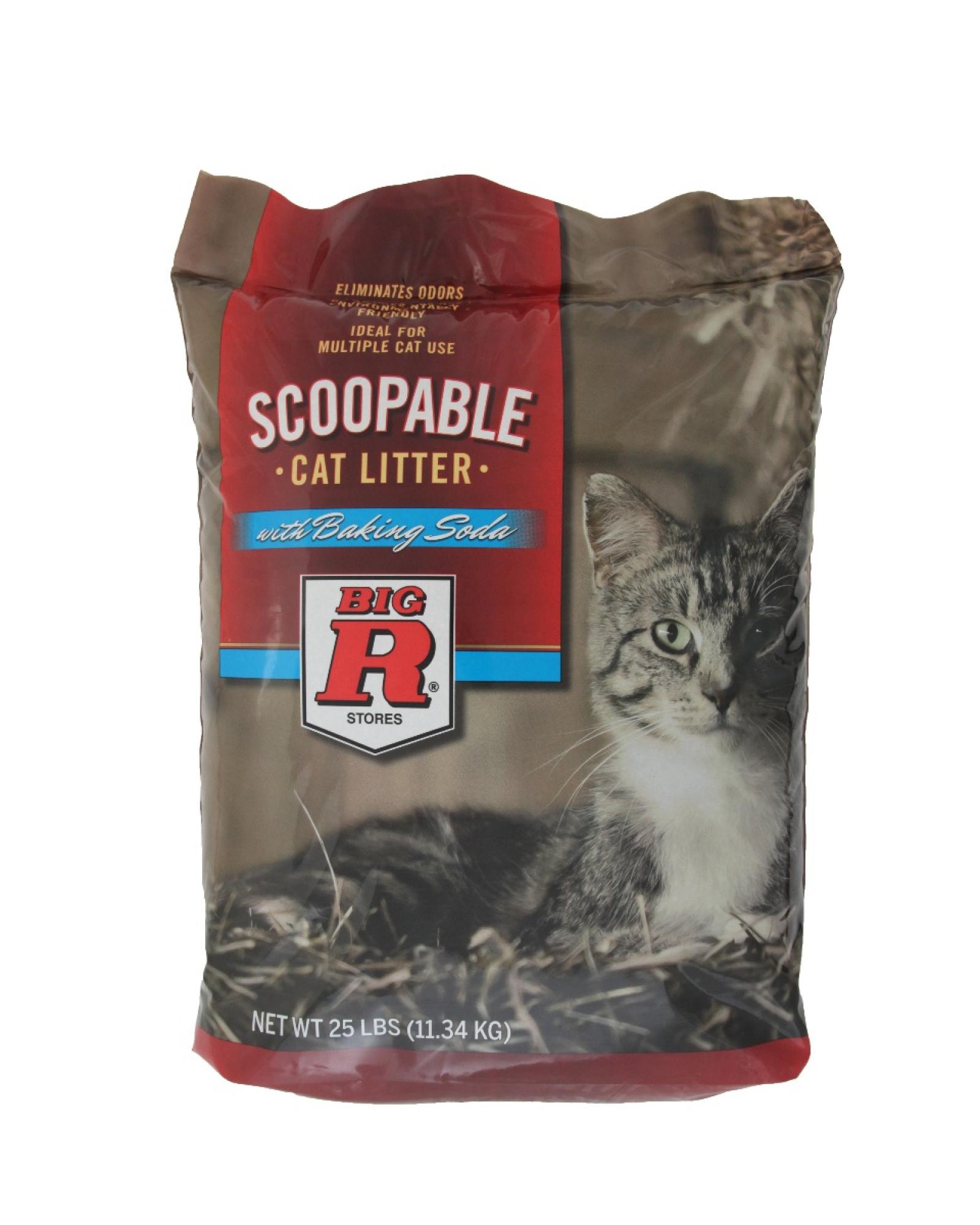 Big R Cat Litter 25# Scoopable
