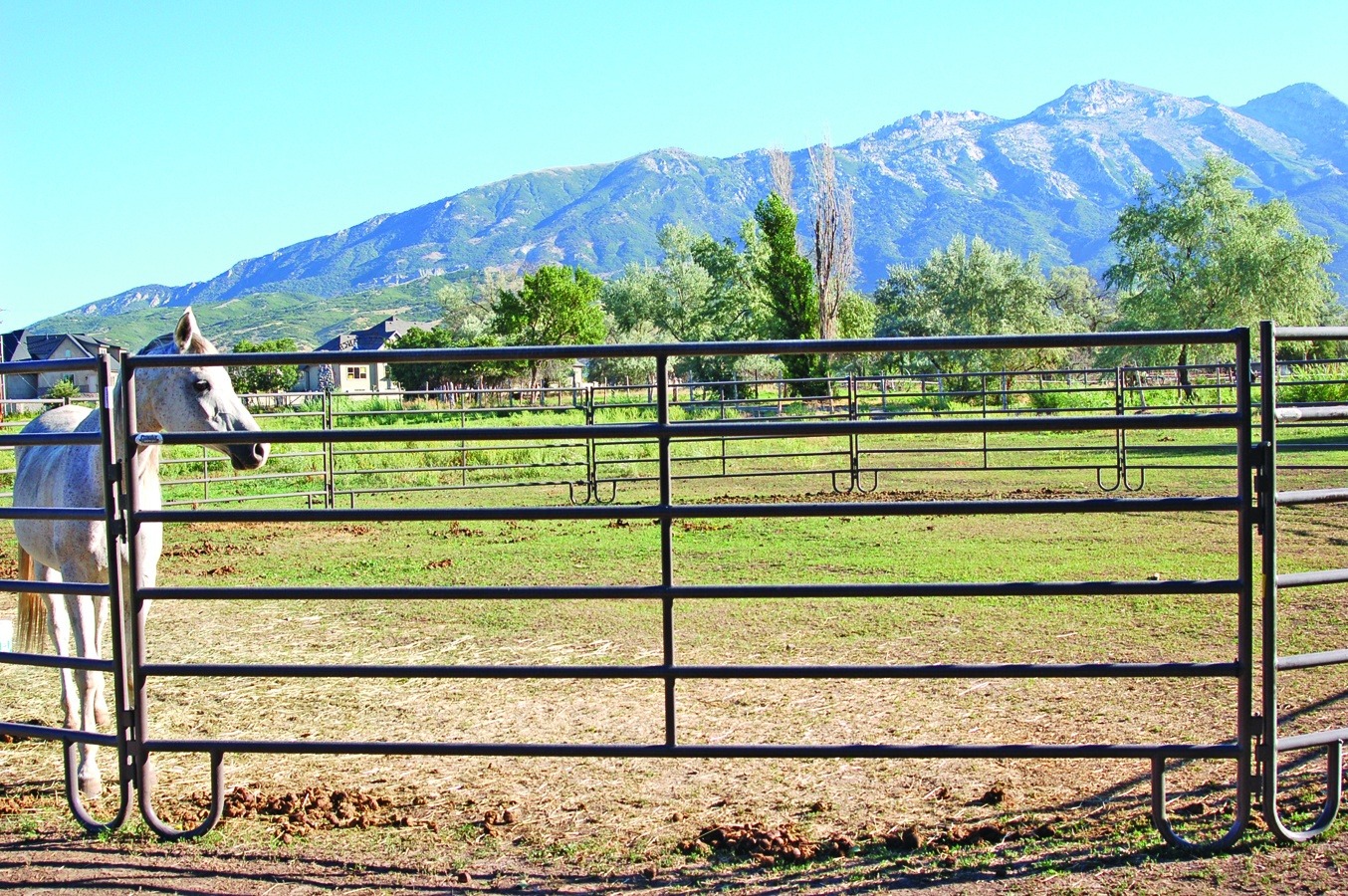 12' Powder Mountain Livestock panel