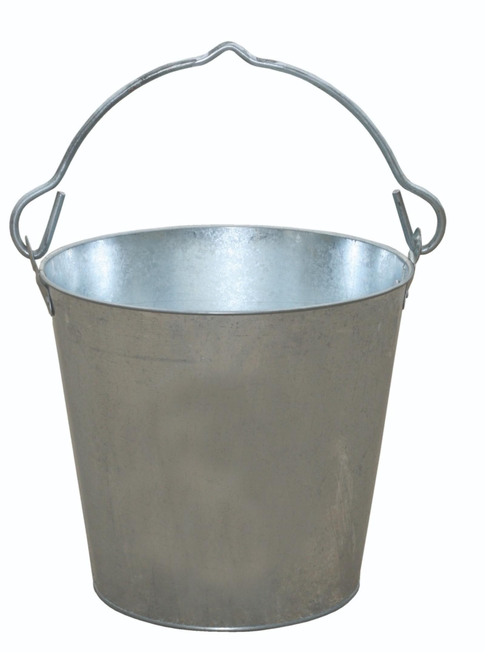 Little Giant Galvanized Dairy Pail