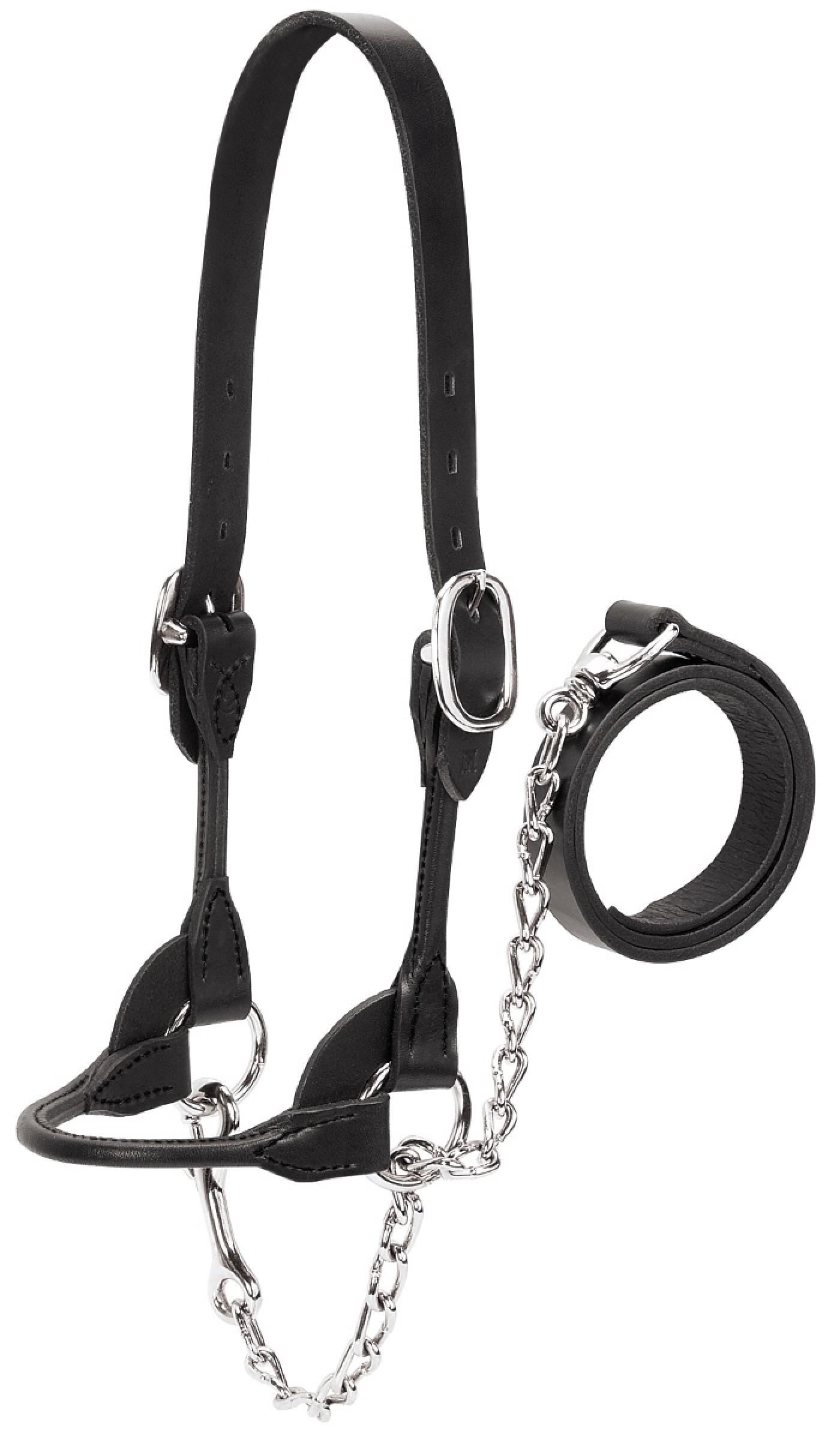 Weaver Show Halter