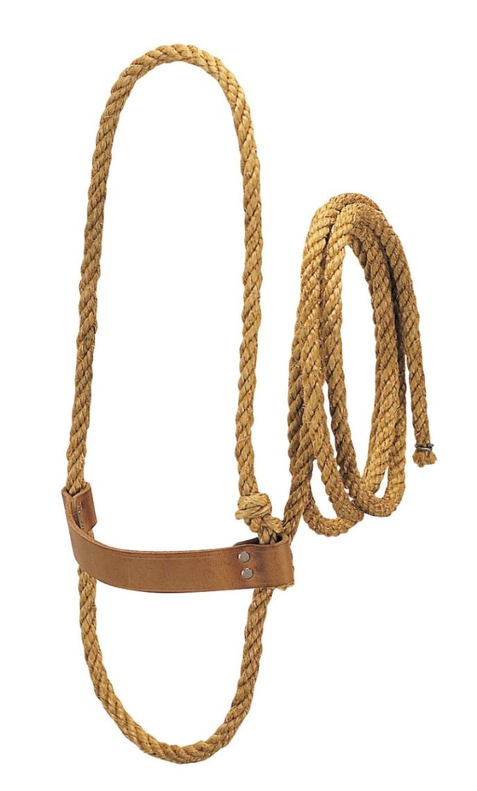 Rope Halter with Leather Noseband