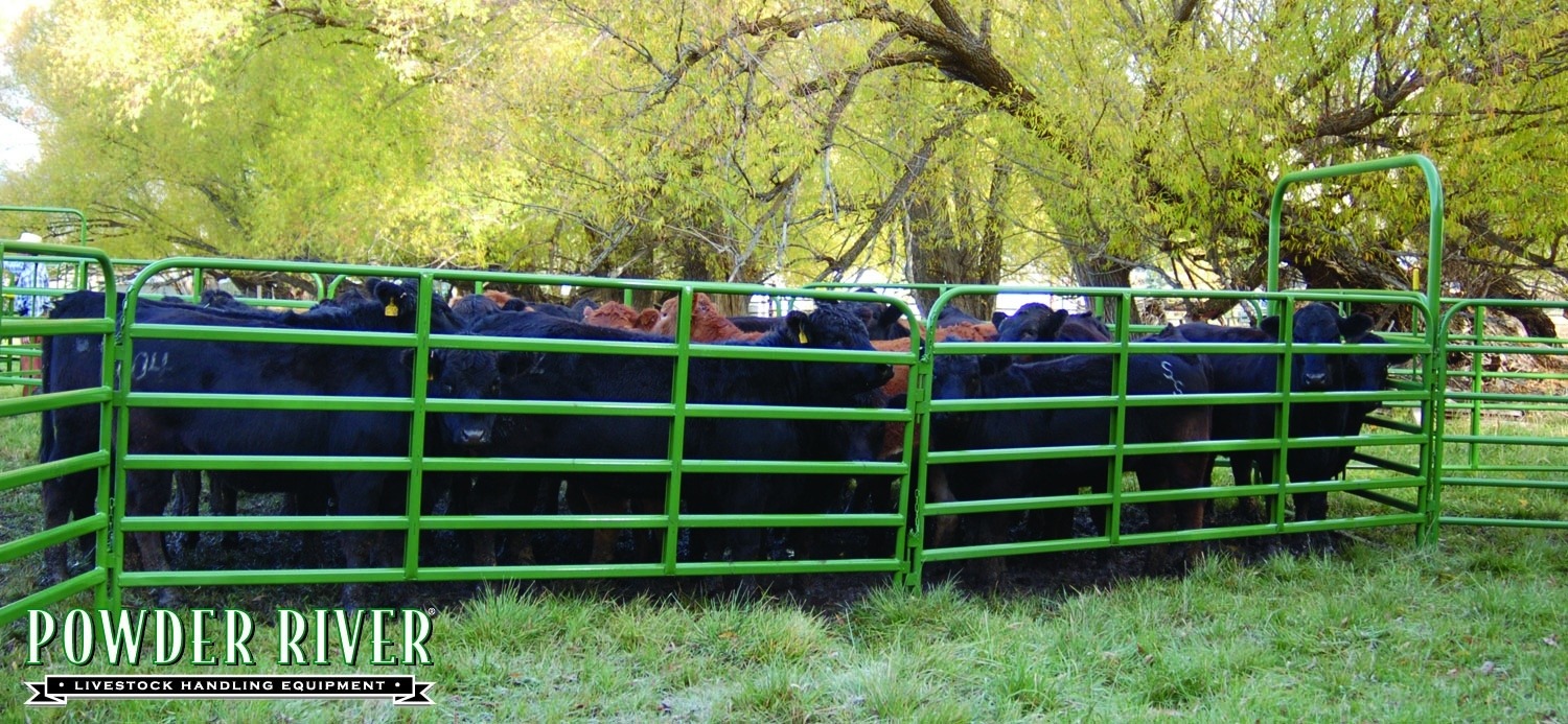 Powder River Classic Panel 8 Foot