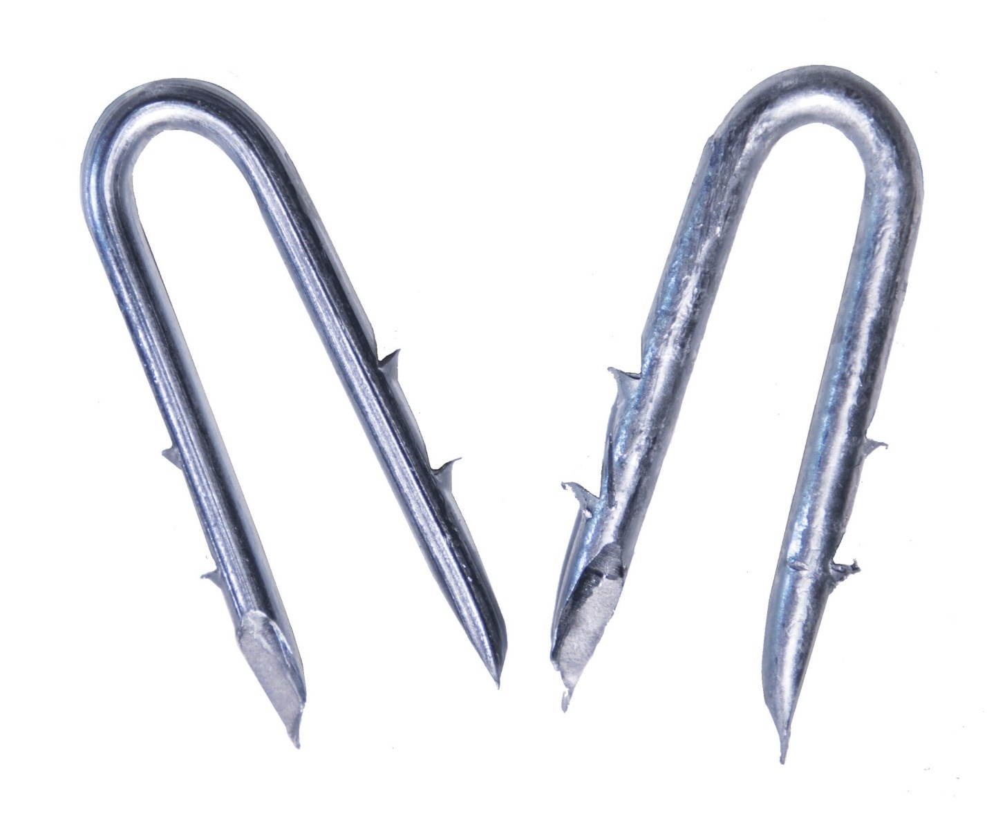 Galvanized Double Barbed Fence Staples (1-1/4") 5Lb Box