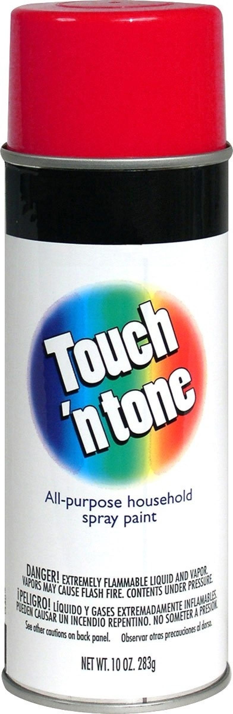 Touch N Tone General Purpose Spray Paint