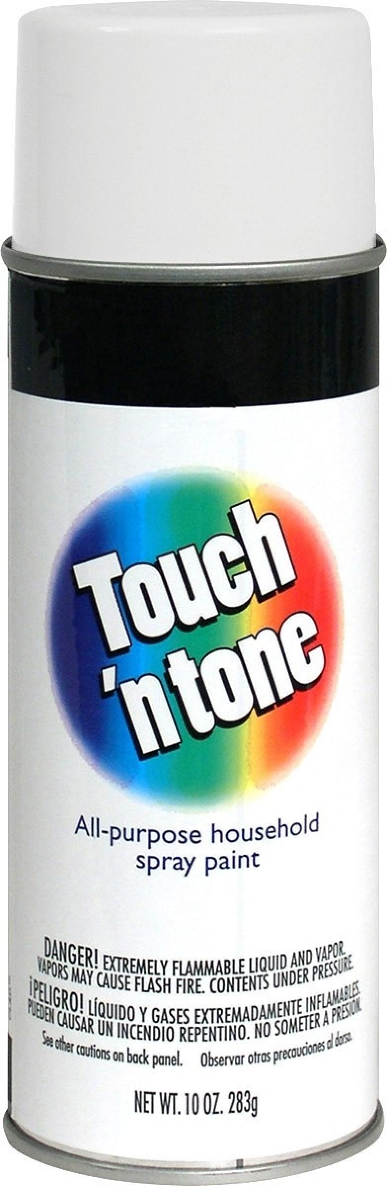 Touch N Tone General Purpose Spray Paint