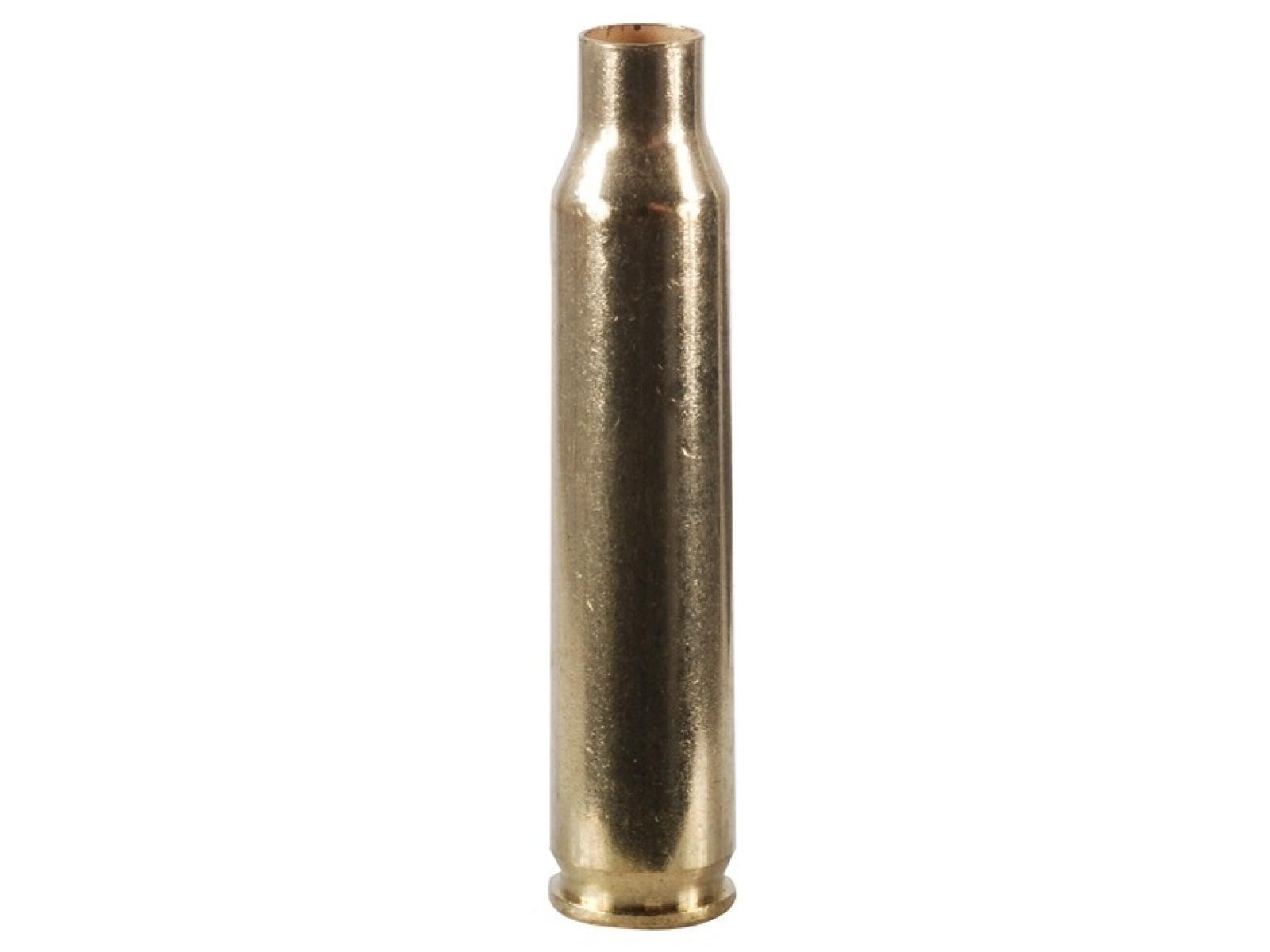 Winchester 223 Remington Brass