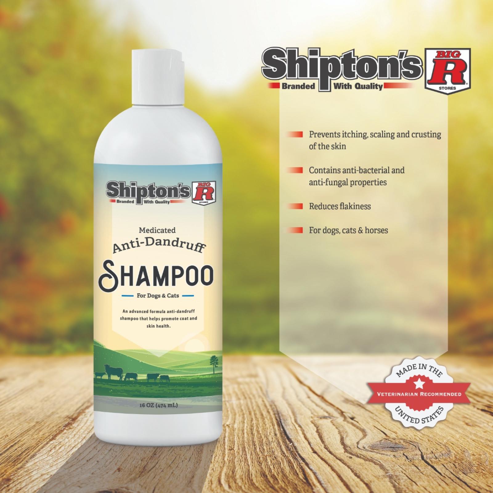 Big R Medicated Anti-Dandruff Shampoo