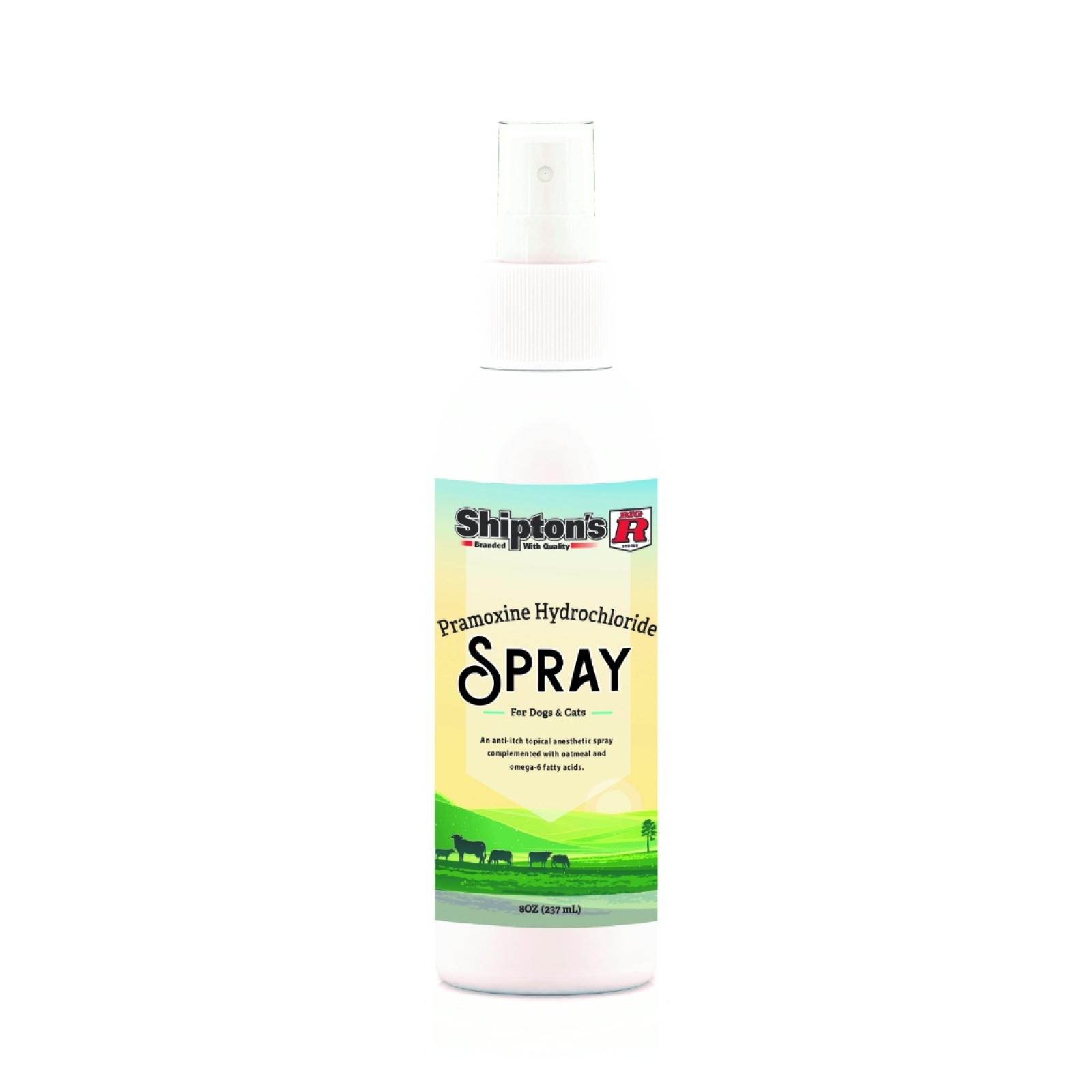 Big R Pramoxine Hydrochloride Anti-Itch Spray