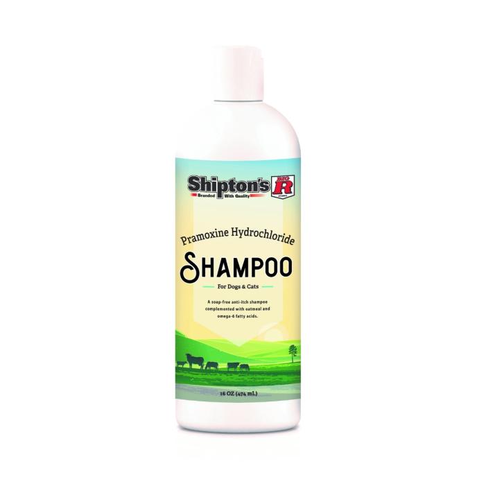 Big R Pramoxine Hydrochloride Shampoo 