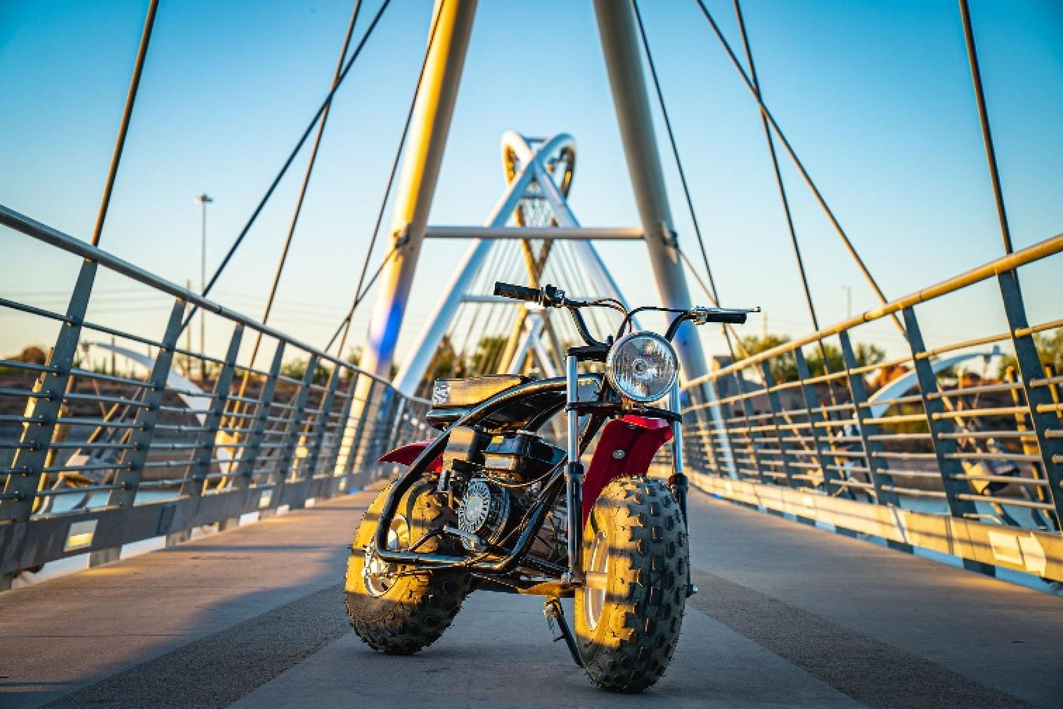 Coleman Powersports 196cc Gas Powered Ride-On Mini Bike Bridge