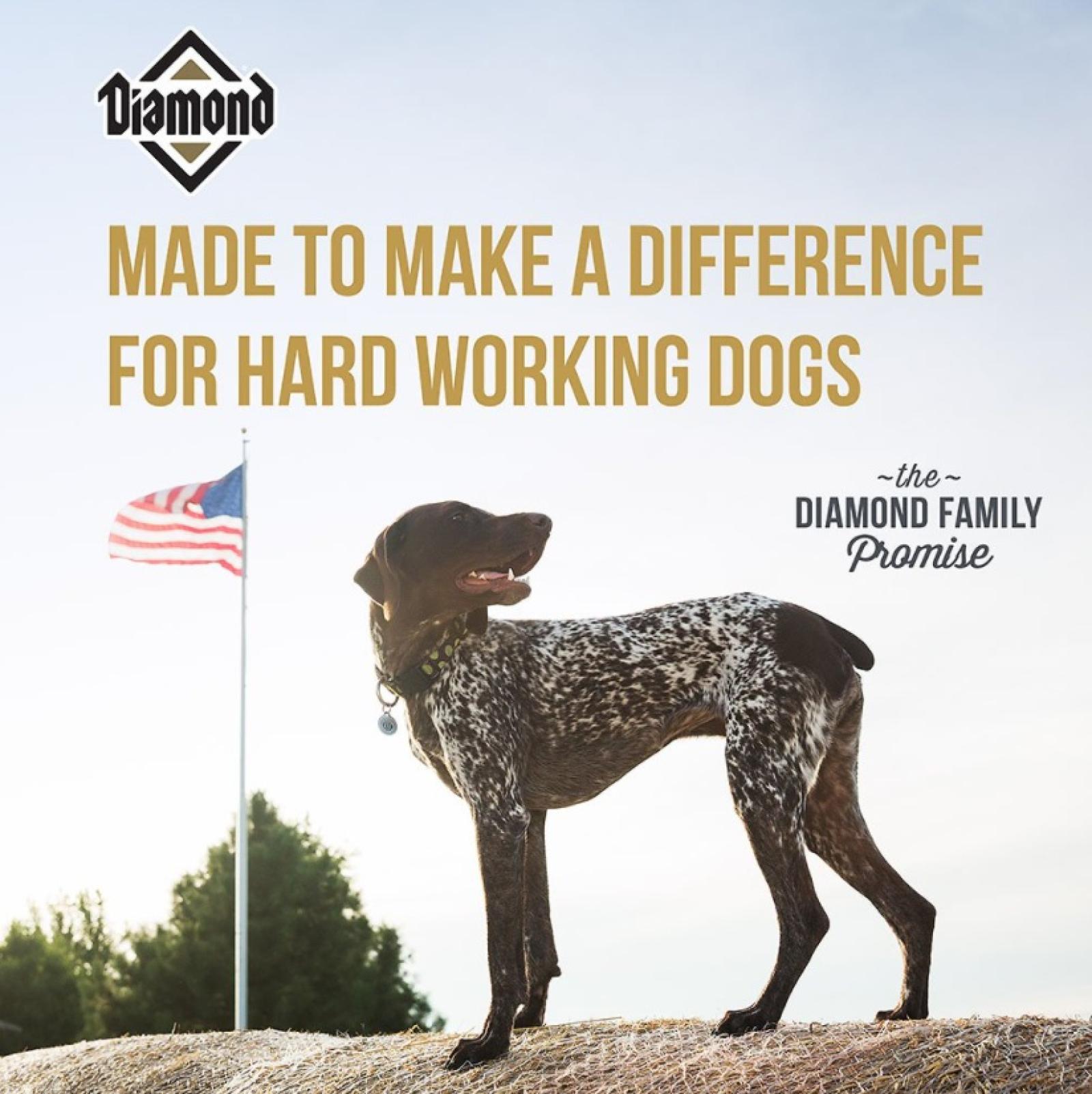 Diamond Performance Formula Adult Dry Dog Food Info