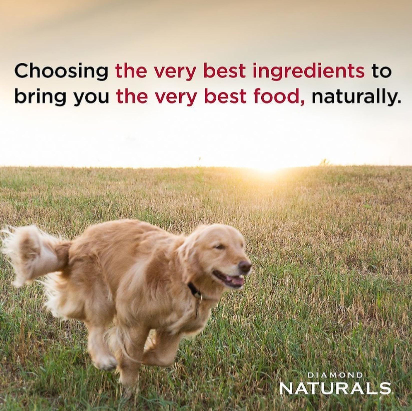 Diamond Naturals Beef Meal & Rice Formula Adult Dry Dog Food Info