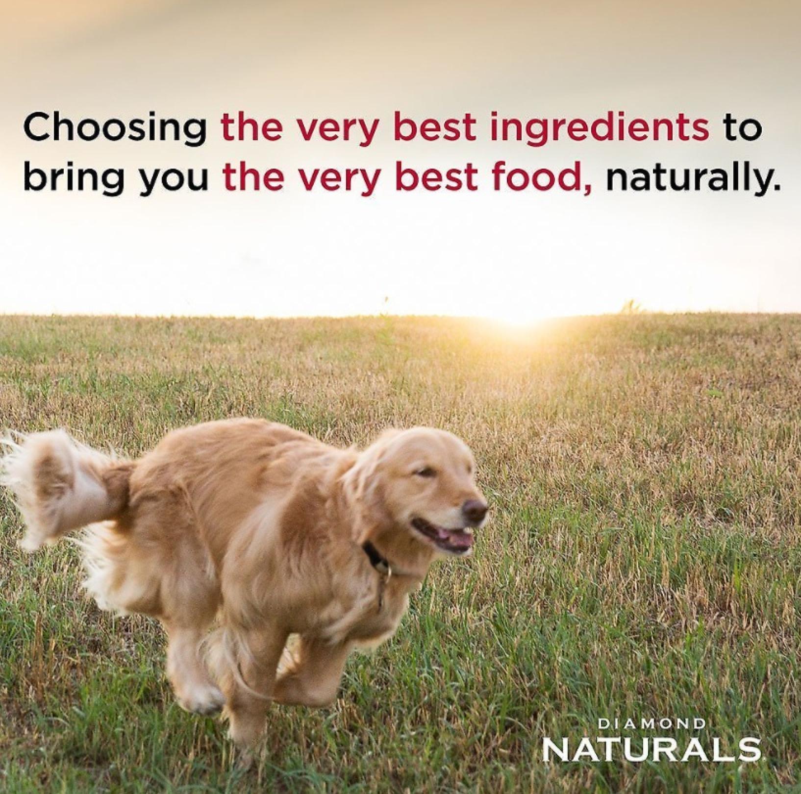 Diamond Naturals Chicken & Rice Formula All Life Stages Dry Dog Food Info