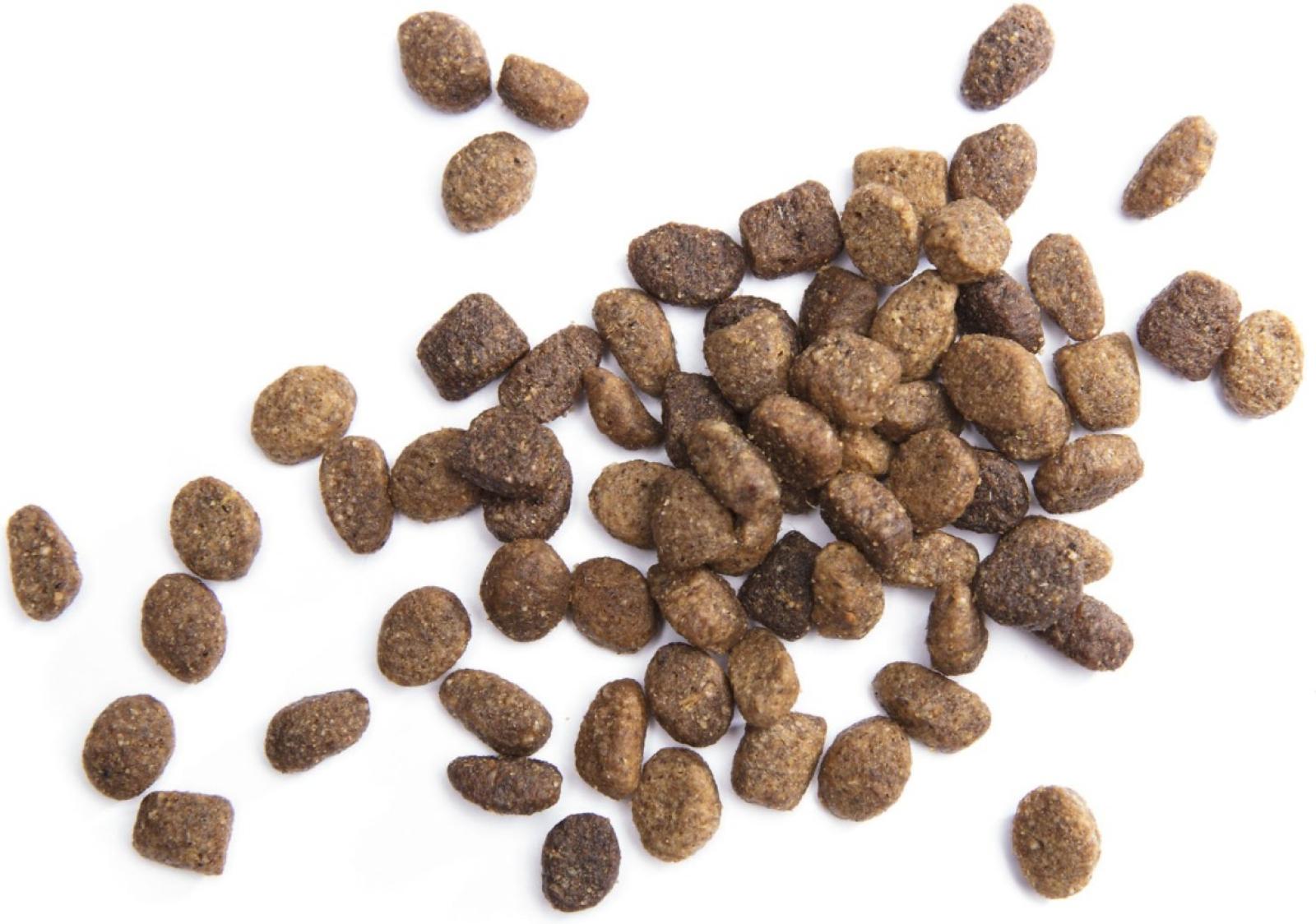 Iams ProActive Health Mini Chunks Dog Food Bits