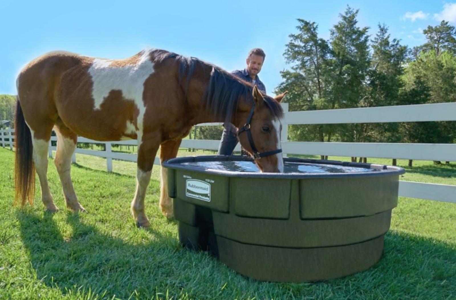 Rubbermaid Stock Tank 300 Gallon With Horse