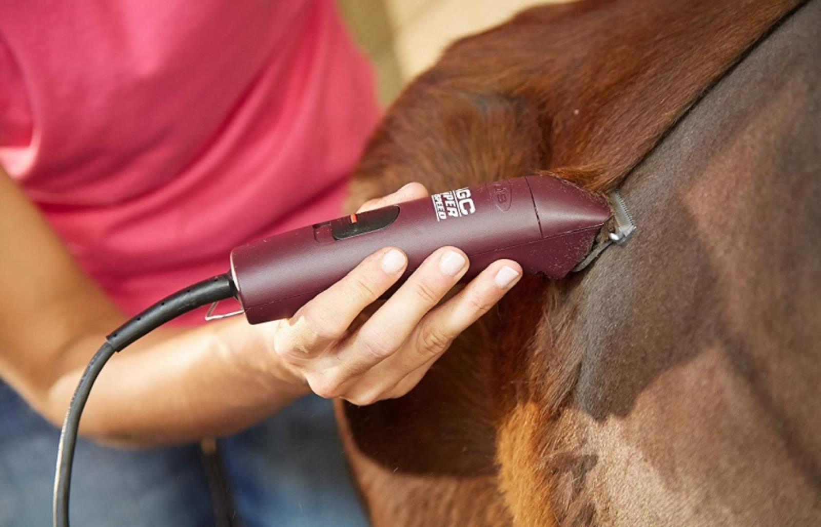 Andis ProClip 2-Speed Detachable Blade Clipper Shaving a Horse