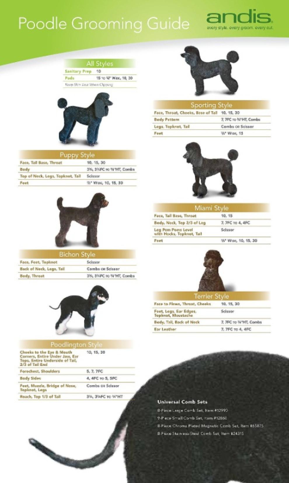 Andis UltraEdge Detachable Blade #10 Poodle Grooming Guide
