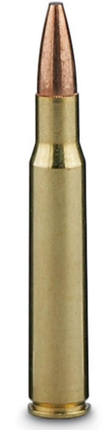Federal Premium Fusion .243 Winchester 95 Grain Bonded Spitzer Boat Tail Bullet