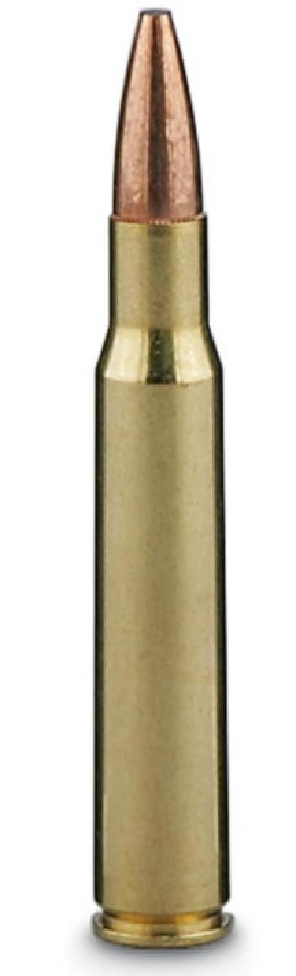 Federal Premium Fusion .30-06 Springfield 165 Grain Spitzer Boat Tail Bullet