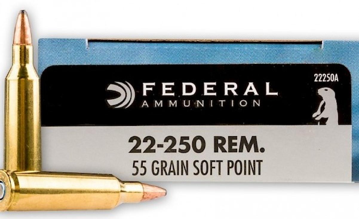 Federal Premium Power-Shok .22-250 Remington 55 Grain Soft Point Info