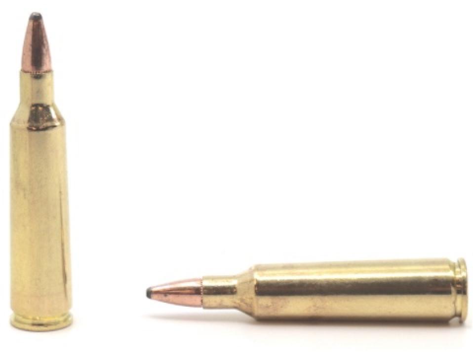 Federal Premium Power-Shok .22-250 Remington 55 Grain Soft Point