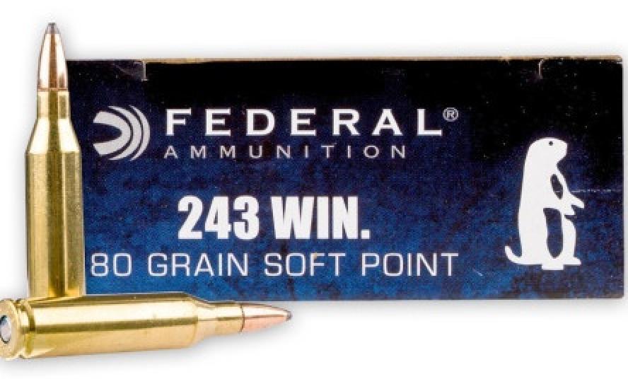 Federal Premium Power-Shok .243 Winchester 80 Grain Speer Hot-Cor Soft Point Info