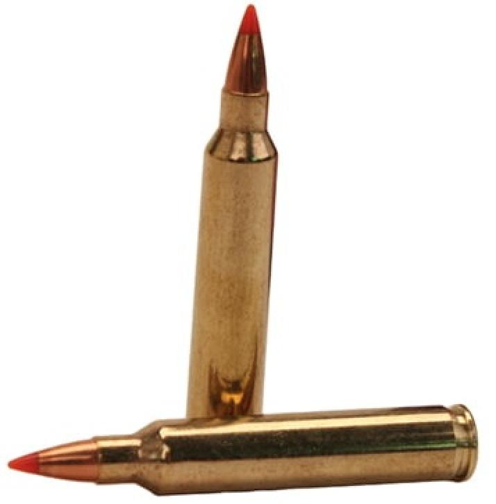 Hornady Superformance Varmint 204 Ruger 32 Grain V-Max