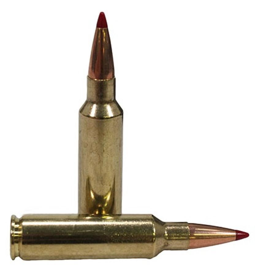 Hornady Precision Hunter® 308 Winchester 178 grain ELD-X® 