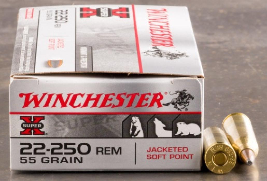 Winchester Super-X 22-250 Remington 55 Grain Jacketed Soft Point