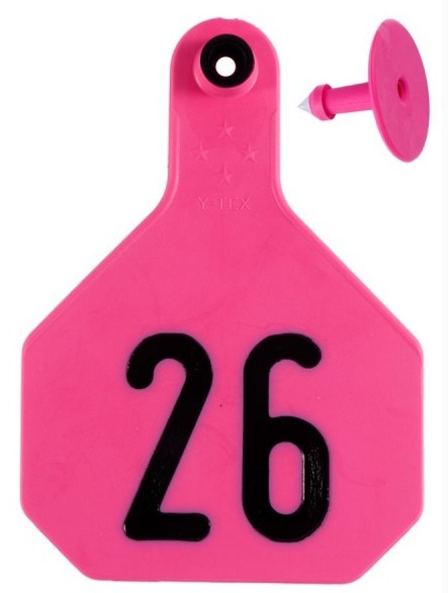 Y-Tex 4-Star Numbered Ear Tags Large #26-50