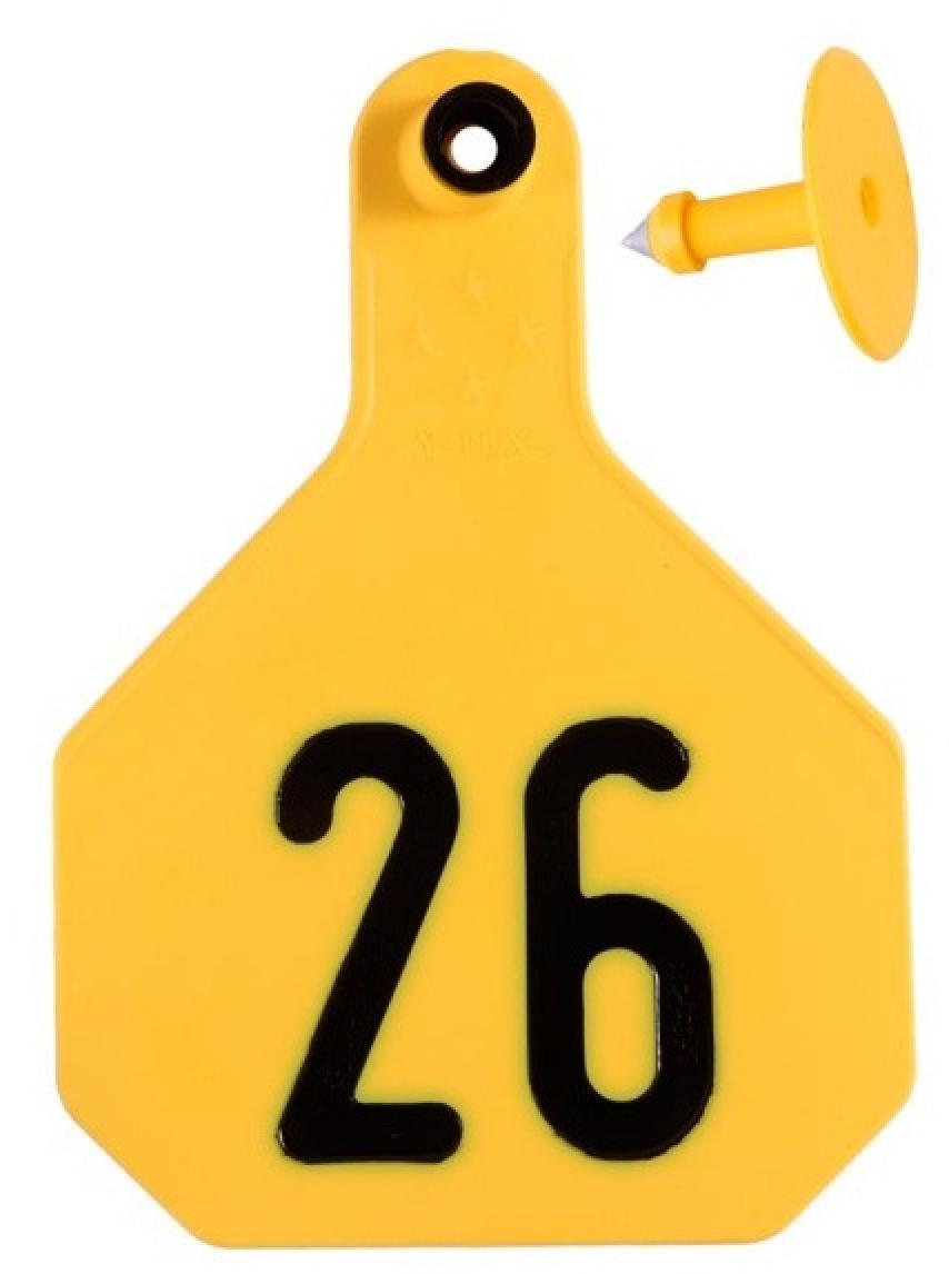 Y-Tex 4-Star Numbered Ear Tags Large #26-50