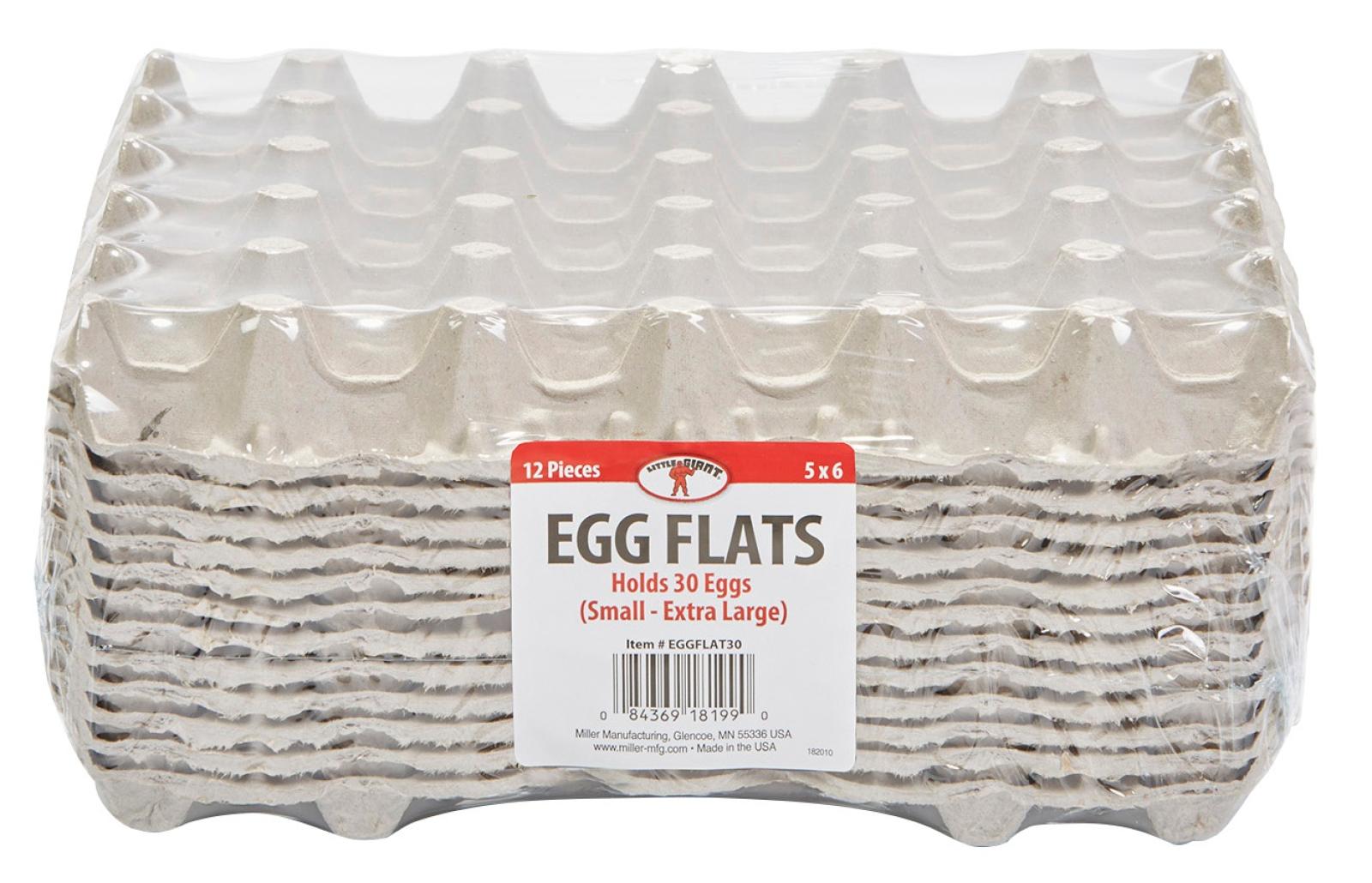 Little Giant Egg Flats 30 Count 5 x 6 Package of 12