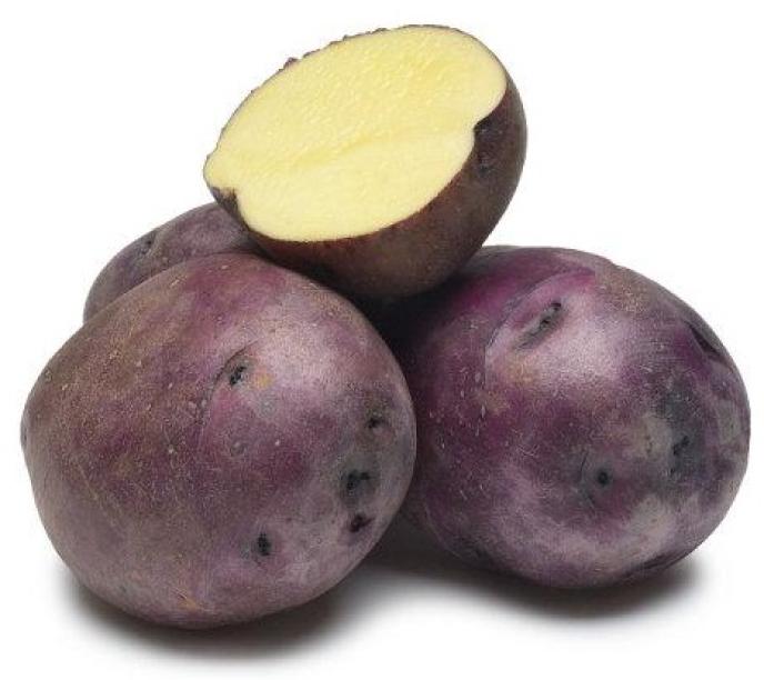 Huckleberry Gold Seed Potatoes