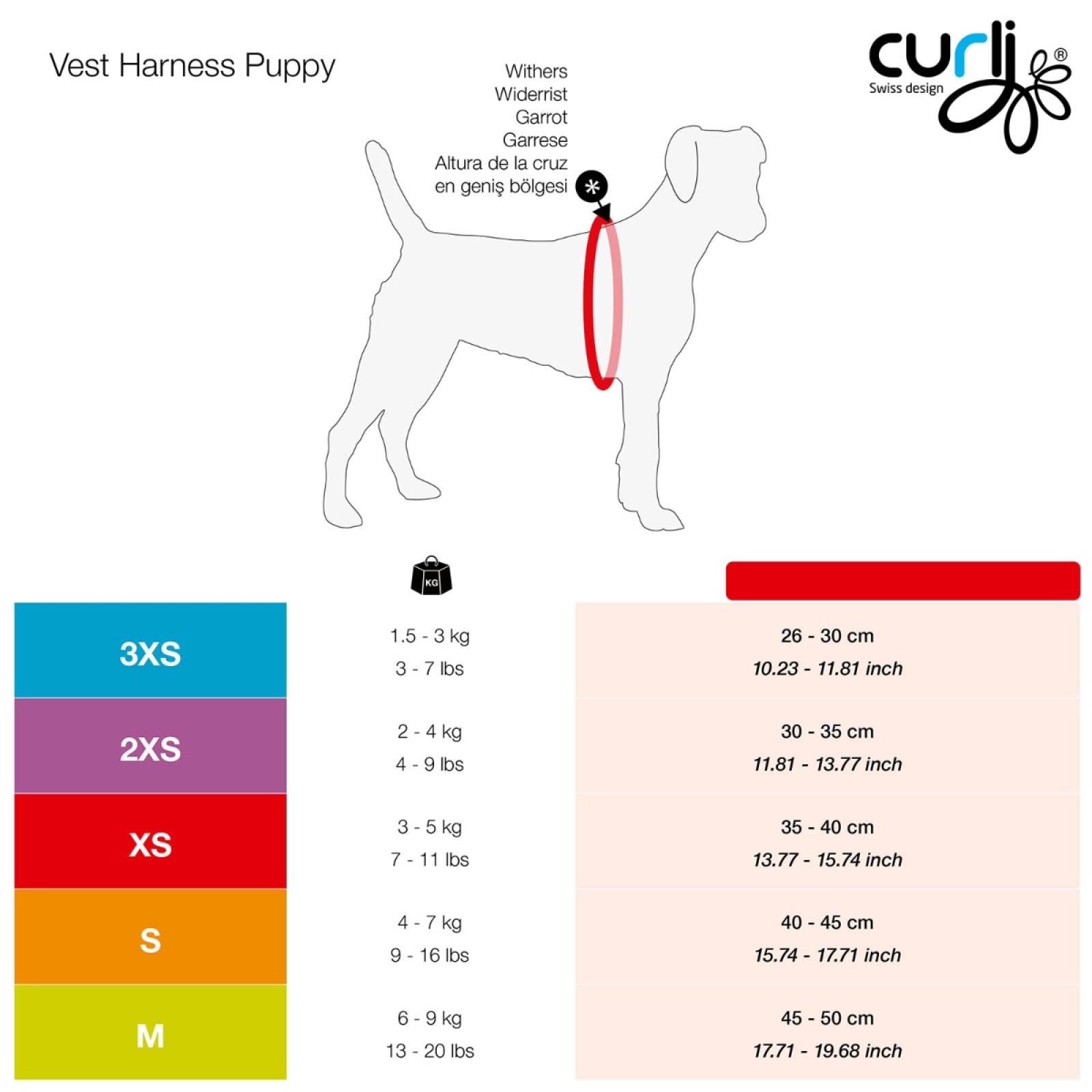 Curli Puppy Harness & Leash