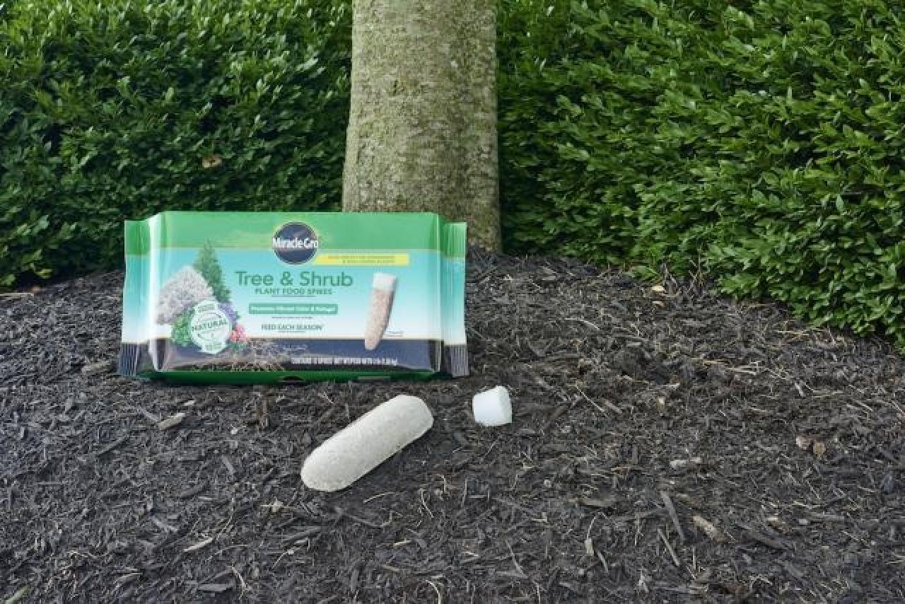 Tree & Shrub Plant Food Spikes